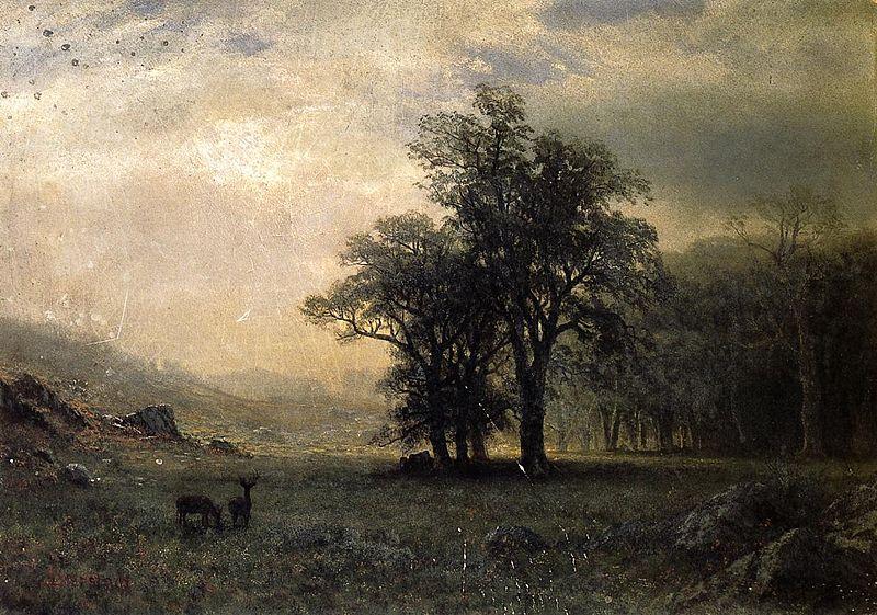 Albert Bierstadt The Open Glen, New England Spain oil painting art